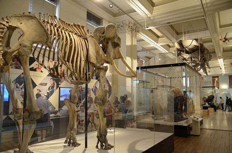 169_Australia_Sydney_Australian_Museum.JPG
