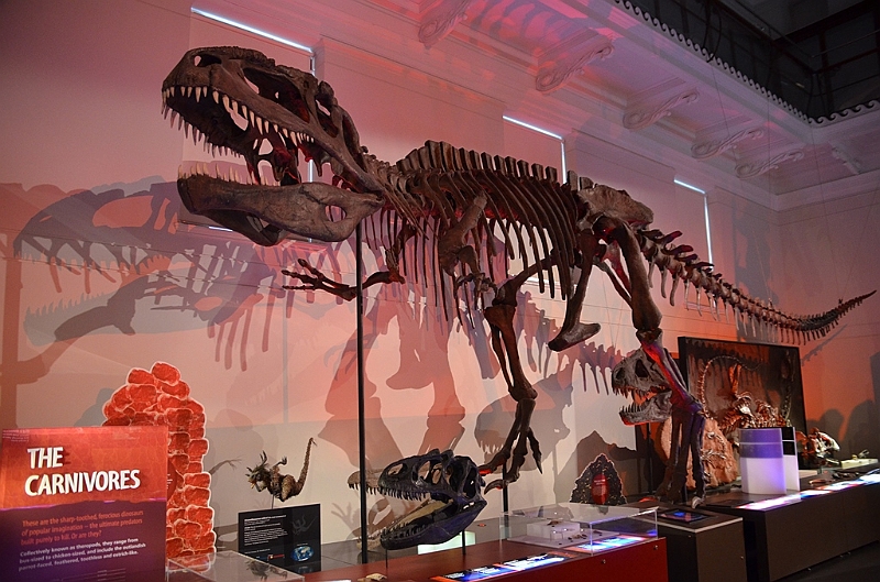 176_Australia_Sydney_Australian_Museum.JPG