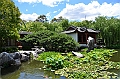 116_Australia_Sydney_Chinese_Garden_of_Friendship