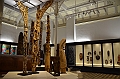173_Australia_Sydney_Australian_Museum