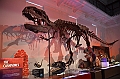 176_Australia_Sydney_Australian_Museum