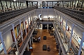 177_Australia_Sydney_Australian_Museum