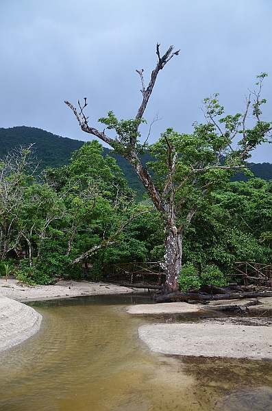 014_Vanuatu_Ureparapara.JPG
