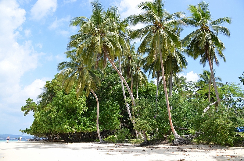 053_Vanuatu_Paradise_Lagoon.JPG