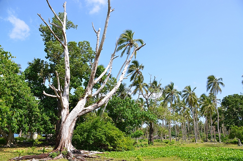 059_Vanuatu_Paradise_Lagoon.JPG
