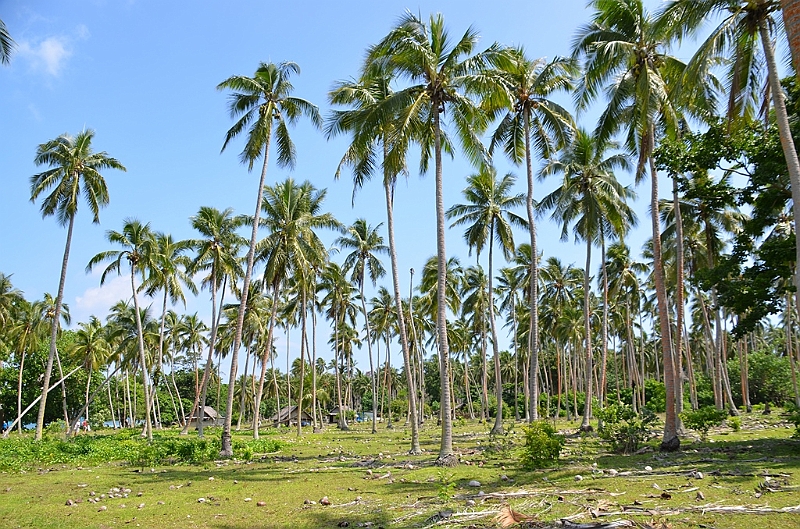 061_Vanuatu_Paradise_Lagoon.JPG