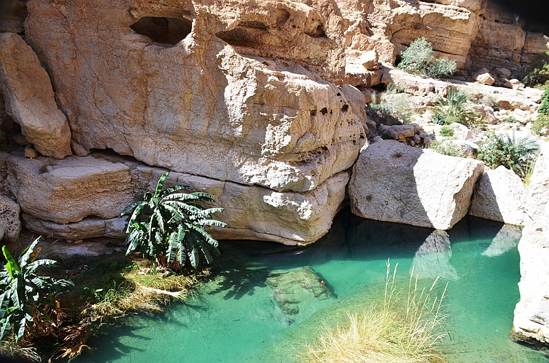 128_Oman_Wadi_Shab.JPG