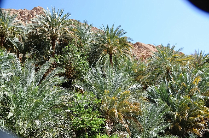 144_Oman_Wadi_Shab.JPG