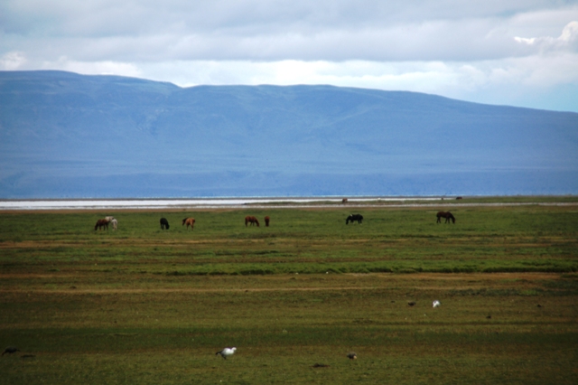 019_Patagonia_Argentina_El_Calafate.JPG