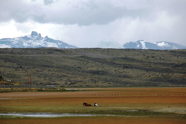 020_Patagonia_Argentina_El_Calafate.JPG