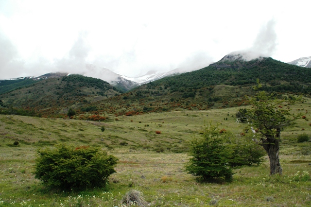 023_Patagonia_Argentina_NP_Los_Glaciares.JPG