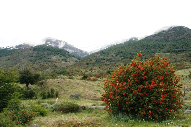 025_Patagonia_Argentina_­NP_Los_Glaciares.JPG