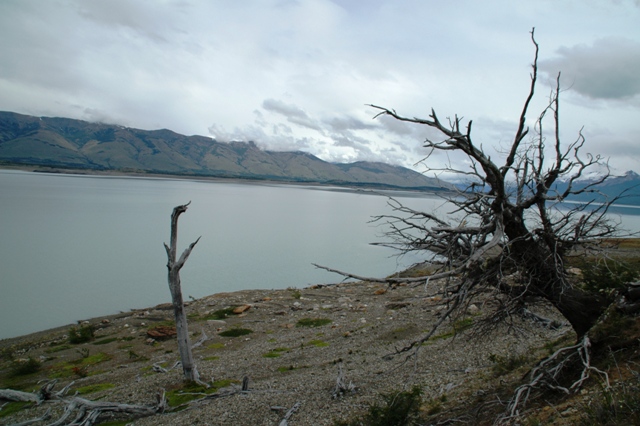 029_Patagonia_Argentina_NP_Los_Glaciares.JPG