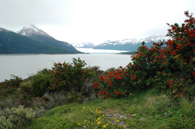 038_Patagonia_Argentina_Perito_Moreno_Glacier.JPG