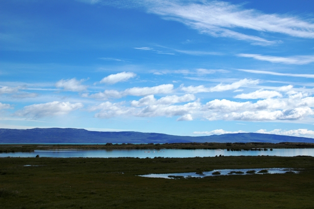 086_Patagonia_Argentina_El_Calafate.JPG