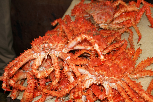 316_Patagonia_Chile_Puerto_Montt_Fischmarkt.JPG