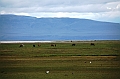 019_Patagonia_Argentina_El_Calafate