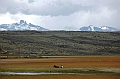 020_Patagonia_Argentina_El_Calafate