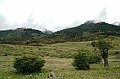 023_Patagonia_Argentina_NP_Los_Glaciares
