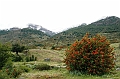 025_Patagonia_Argentina_­NP_Los_Glaciares