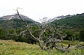 033_Patagonia_Argentina_NP_Los_Glaciares