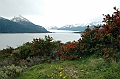 038_Patagonia_Argentina_Perito_Moreno_Glacier