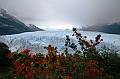 066_Patagonia_Argentina_Perito_Moreno_Glacier