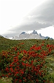 174_Patagonia_Chile_NP_Torres_del_Paine