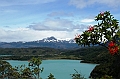 209_Patagonia_Chile_NP_Torres_del_Paine