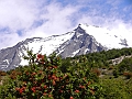 231_Patagonia_Chile_NP_Torres_del_Paine