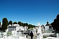 282_Patagonia_Chile_Punta_Arenas­_Cementerio_Municipa
