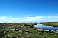 290_Patagonia_Chile_Punta_Arenas_Penguin_Colony
