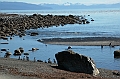292_Patagonia_Chile_Punta_Arenas_Penguin_Colony