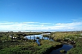 297_Patagonia_Chile_Punta_Arenas_Penguin_Colony