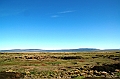 298_Patagonia_Chile_Punta_Arenas_Penguin_Colony