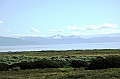 299_Patagonia_Chile_Punta_Arenas_Penguin_Colony