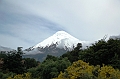 337_Patagonia_Chile_Volcan_Osorno