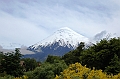 341_Patagonia_Chile_Volcan_Osorno