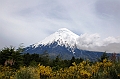 344_Patagonia_Chile_Vulcan_Osorno