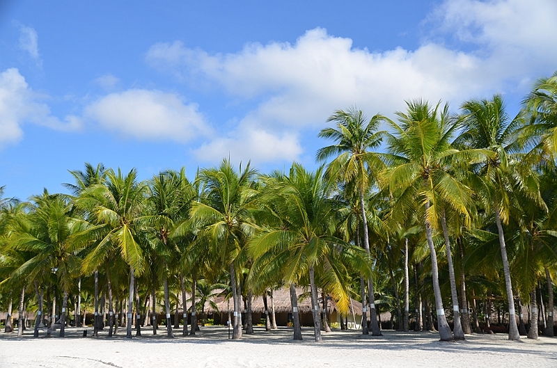 147_Philippines_Bohol_South_Palms_Resort_Panglao.JPG