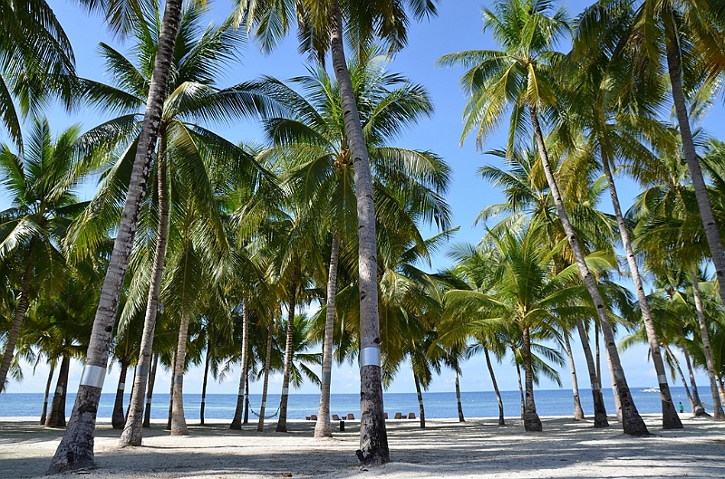 149_Philippines_Bohol_South_Palms_Resort_Panglao.JPG