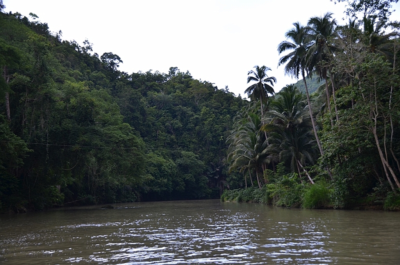 219_Philippines_Bohol_Loboc_River_Cruise.JPG