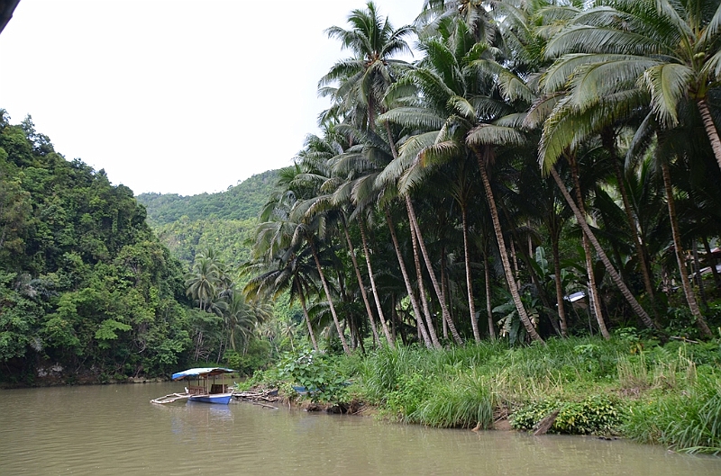 220_Philippines_Bohol_Loboc_River_Cruise.JPG