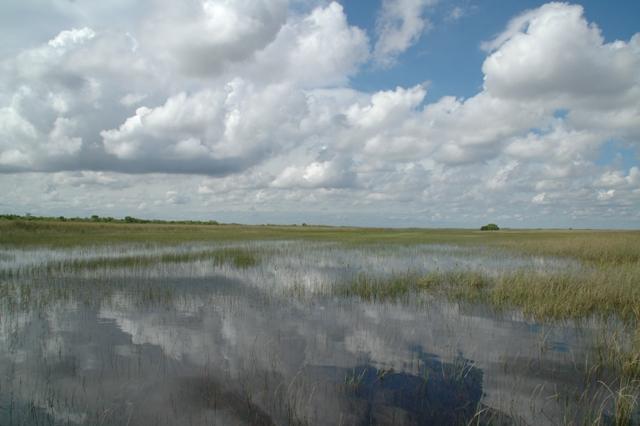 182_USA_Everglades_National_Park.JPG