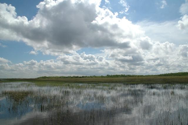 183_USA_Everglades_National_Park.JPG