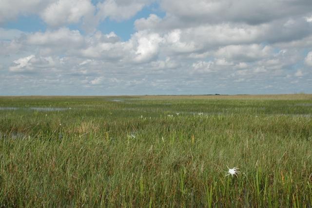186_USA_Everglades_National_Park.JPG