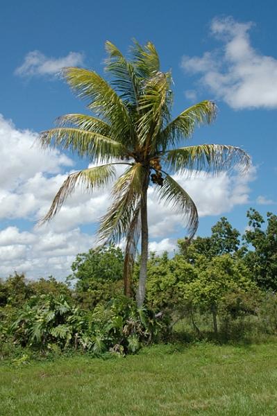 220_USA_Florida.JPG