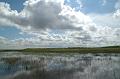 183_USA_Everglades_National_Park