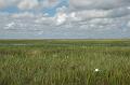186_USA_Everglades_National_Park
