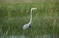 187_USA_Everglades_National_Park